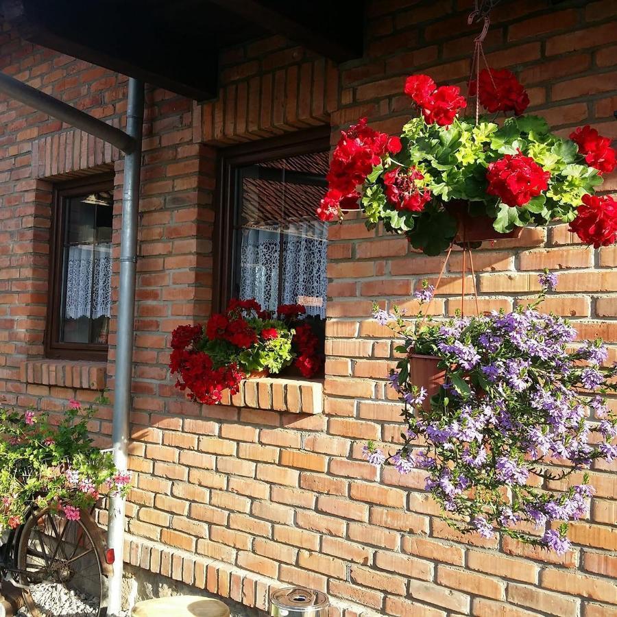 Gosciniec Galkowo Guest House ภายนอก รูปภาพ